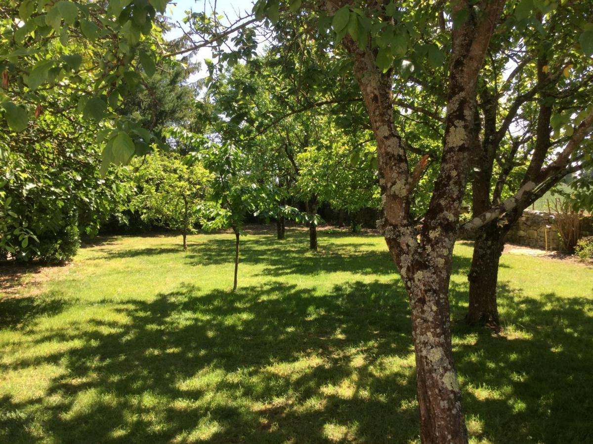 Bed and Breakfast Les Noyers Aulnay Aulnay  Экстерьер фото